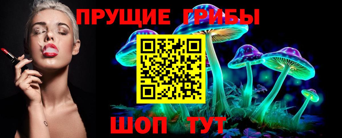 Псилоцибиновые грибы мухоморы  Вход с VPN  Псилоцибиновые грибы GOLDEN TEACHER  Кимры 