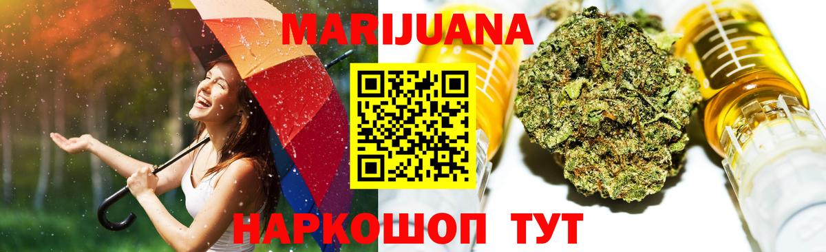 Шишки марихуана планчик  Вход с VPN  Шишки марихуана White Widow  Конопля гибрид  Кимры 
